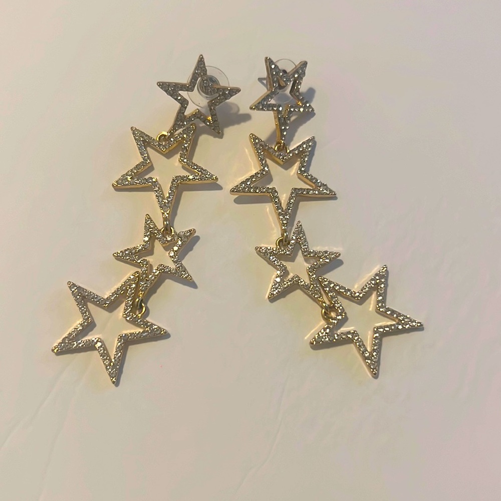 Express Earrings - Picture 2 of 3